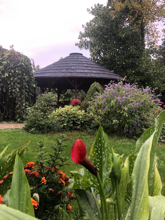 Apartmanove Ubytovanie Pod Dubom Polny Kesov Exterior foto