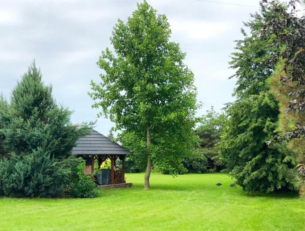 Apartmanove Ubytovanie Pod Dubom Polny Kesov Exterior foto